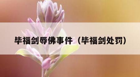 毕福剑辱佛事件（毕福剑处罚）