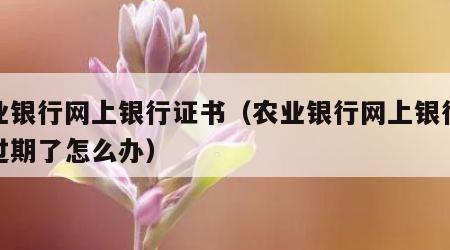 农业银行网上银行证书（农业银行网上银行证书过期了怎么办）