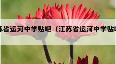 江苏省运河中学贴吧（江苏省运河中学贴吧群）