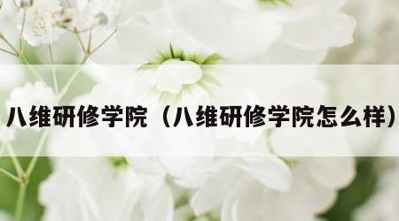 八维研修学院（八维研修学院怎么样）