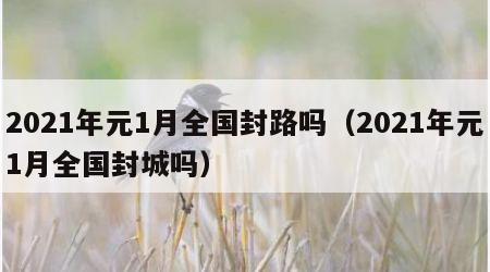 2021年元1月全国封路吗（2021年元1月全国封城吗）