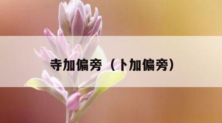 寺加偏旁（卜加偏旁）