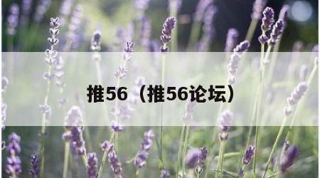 推56（推56论坛）