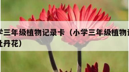 小学三年级植物记录卡（小学三年级植物记录卡牡丹花）