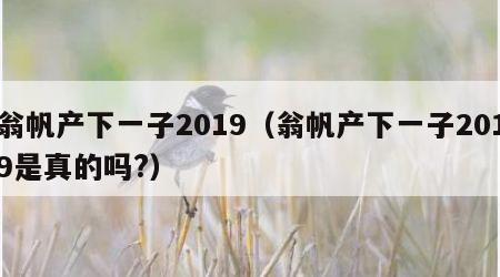 翁帆产下一子2019（翁帆产下一子2019是真的吗?）