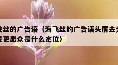 海飞丝的广告语（海飞丝的广告语头屑去无踪秀发更出众是什么定位）