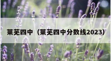 莱芜四中（莱芜四中分数线2023）