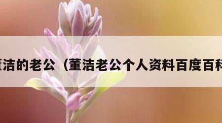 董洁的老公（董洁老公个人资料百度百科）