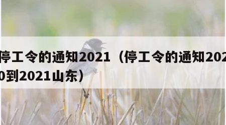 停工令的通知2021（停工令的通知2020到2021山东）