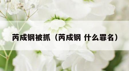 芮成钢被抓（芮成钢 什么罪名）