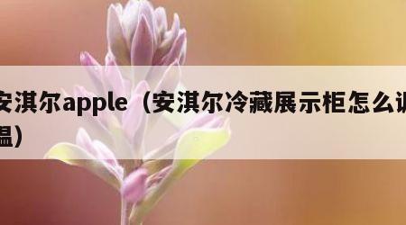 安淇尔apple（安淇尔冷藏展示柜怎么调温）