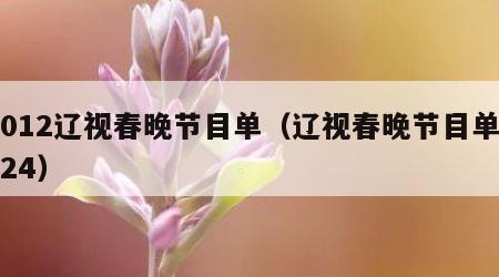 2012辽视春晚节目单（辽视春晚节目单2024）