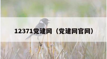 12371党建网（党建网官网）