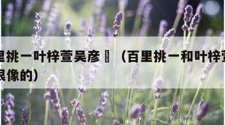 百里挑一叶梓萱吴彦堃（百里挑一和叶梓萱长得很像的）