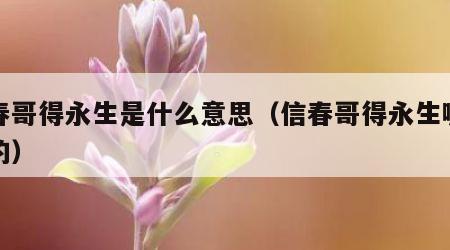 信春哥得永生是什么意思（信春哥得永生哪里来的）