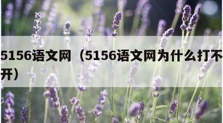 5156语文网（5156语文网为什么打不开）