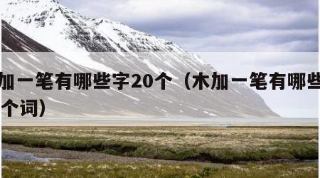 木加一笔有哪些字20个（木加一笔有哪些字20个词）