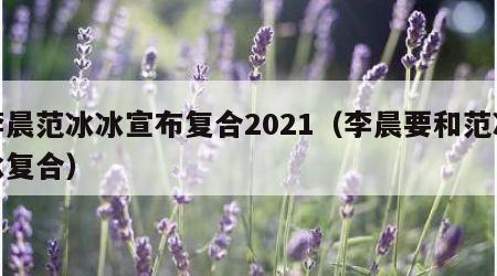 李晨范冰冰宣布复合2021（李晨要和范冰冰复合）