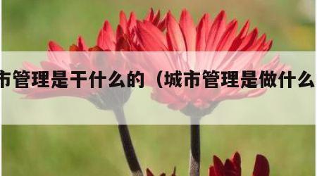 城市管理是干什么的（城市管理是做什么的?）