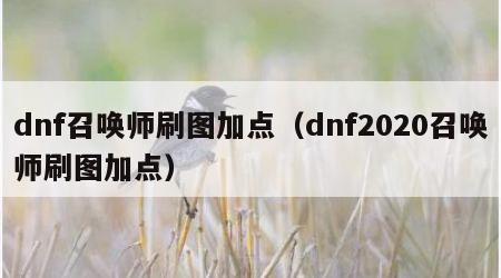 dnf召唤师刷图加点（dnf2020召唤师刷图加点）