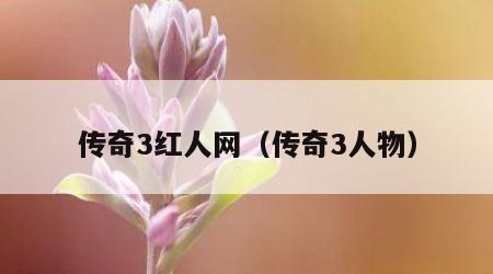 传奇3红人网（传奇3人物）