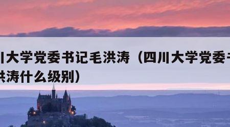 四川大学党委书记毛洪涛（四川大学党委书记毛洪涛什么级别）