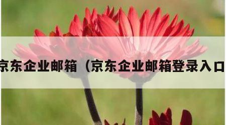 京东企业邮箱（京东企业邮箱登录入口）