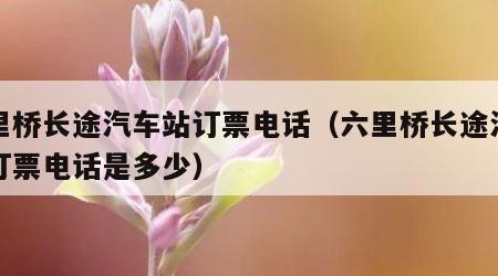 六里桥长途汽车站订票电话（六里桥长途汽车站订票电话是多少）