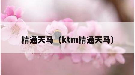 精通天马（ktm精通天马）