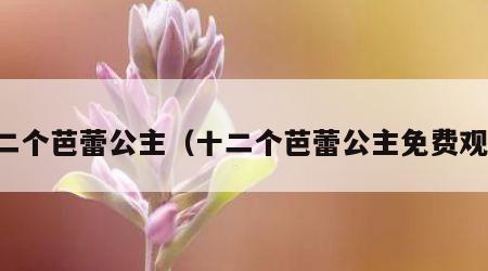 十二个芭蕾公主（十二个芭蕾公主免费观看）