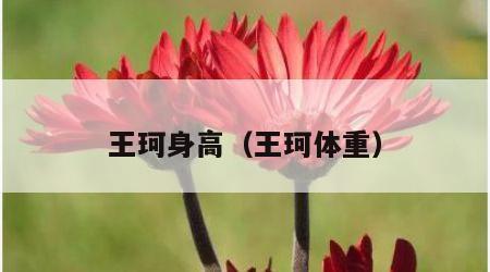 王珂身高（王珂体重）