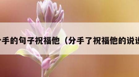 分手的句子祝福他（分手了祝福他的说说）