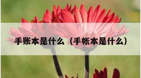 手账本是什么（手帐本是什么）