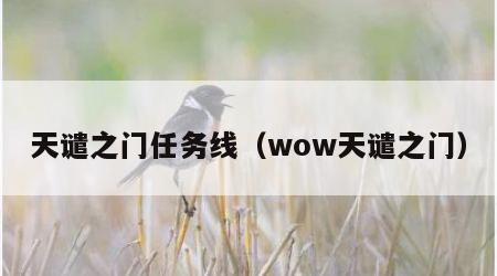 天谴之门任务线（wow天谴之门）