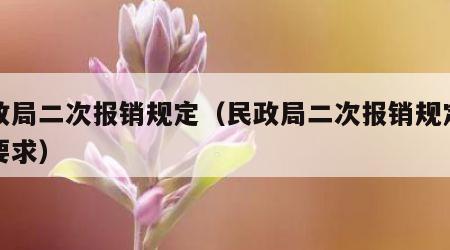 民政局二次报销规定（民政局二次报销规定什么要求）