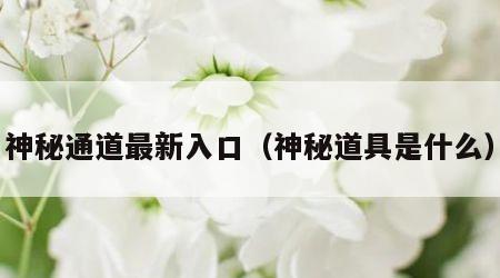 神秘通道最新入口（神秘道具是什么）