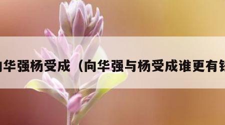 向华强杨受成（向华强与杨受成谁更有钱）