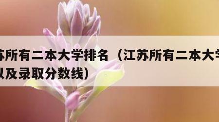 江苏所有二本大学排名（江苏所有二本大学排名以及录取分数线）