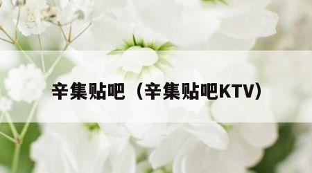 辛集贴吧（辛集贴吧KTV）