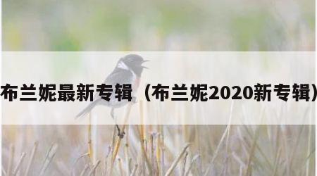 布兰妮最新专辑（布兰妮2020新专辑）