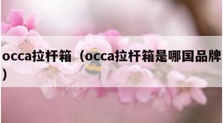 occa拉杆箱（occa拉杆箱是哪国品牌）