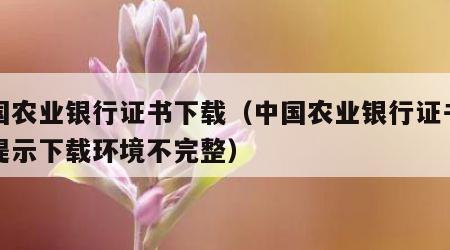 中国农业银行证书下载（中国农业银行证书下载提示下载环境不完整）