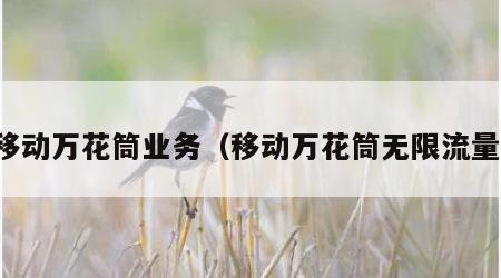 移动万花筒业务（移动万花筒无限流量）