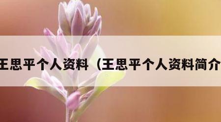 王思平个人资料（王思平个人资料简介）