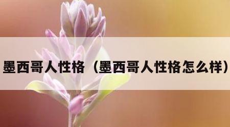 墨西哥人性格（墨西哥人性格怎么样）