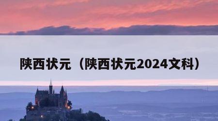 陕西状元（陕西状元2024文科）