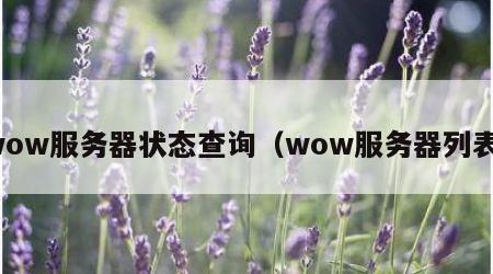 wow服务器状态查询（wow服务器列表）