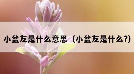 小盆友是什么意思（小盆友是什么?）