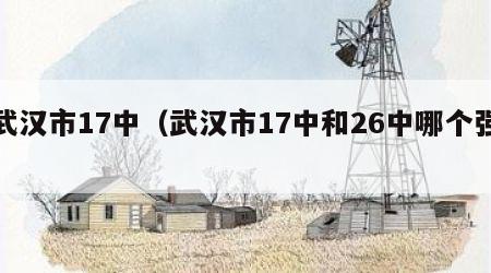 武汉市17中（武汉市17中和26中哪个强）