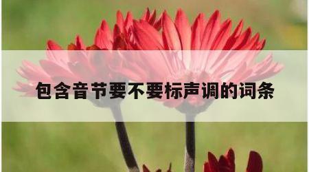 包含音节要不要标声调的词条